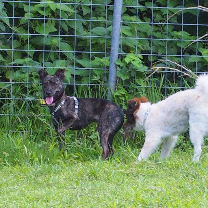 05fda90f 8a48 4ce9 85a2 2b2fb5c09eae 1536306708004