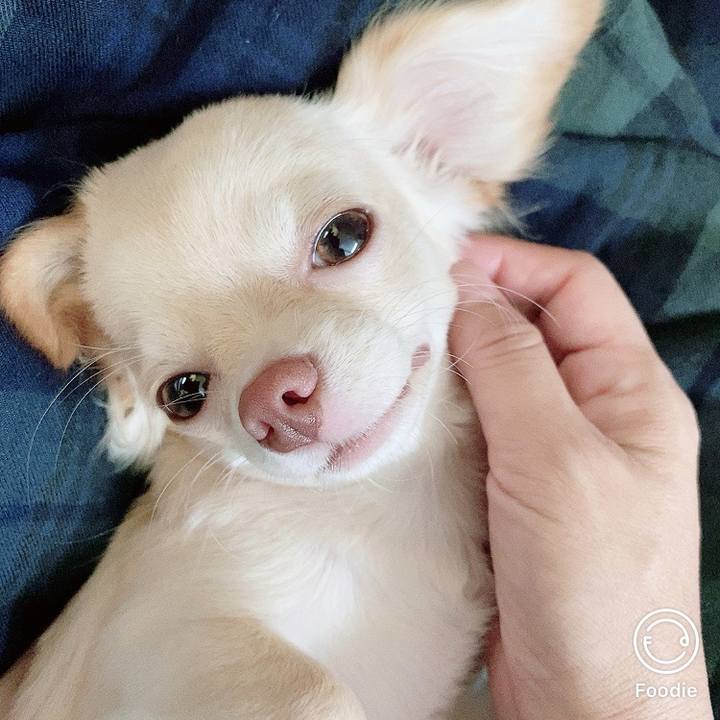 05fdbac2 badc 41d3 9f6c 1f974c0e3ce0 1597965129236