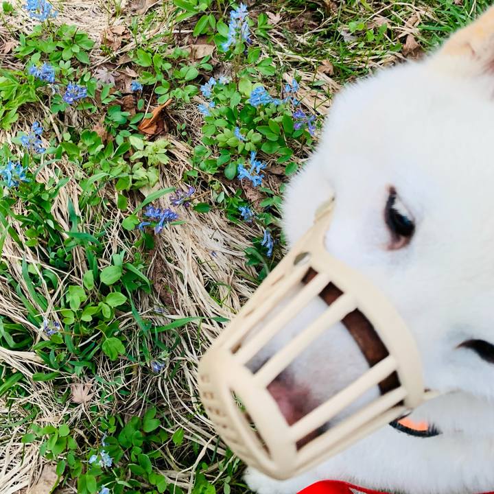 05fdc11c 8394 4120 9745 77c6b11fb2bd 1619040118917