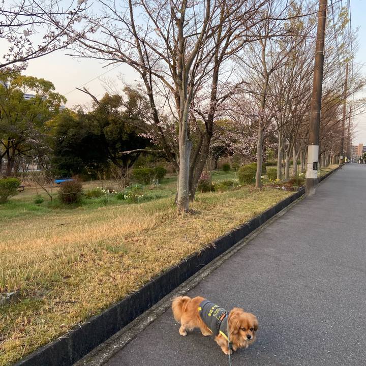 05fdf0a1 68b4 497f 9cba a92e26c072de 1616707983191