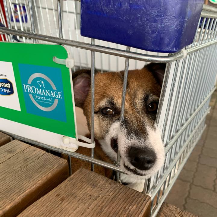 05fe241d 0ecd 4abe a321 83c8335d349b 1598455882562