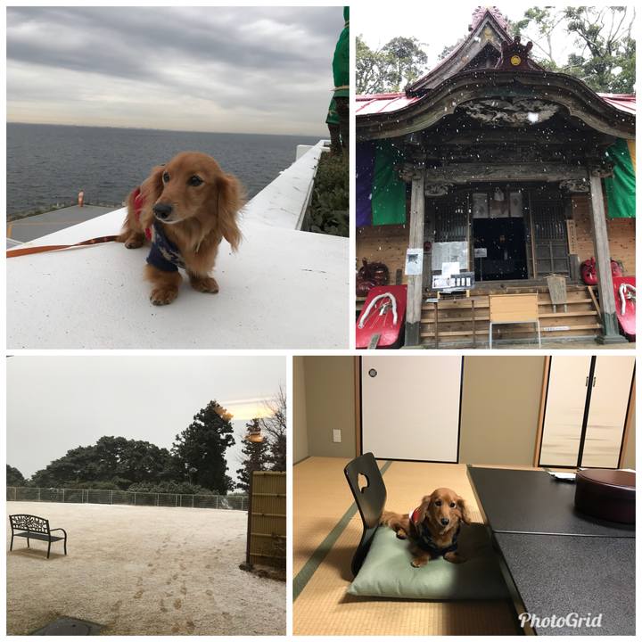 05fe455a db91 4119 b208 5d90c49baa3f 1515134380943