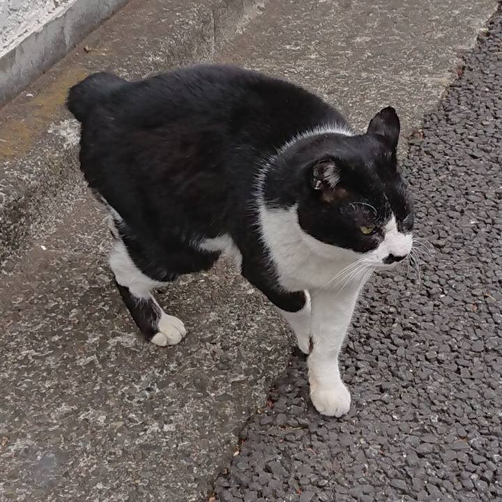 05fe5107 b3a3 492c af26 d58cc90e86e9 1673932278361