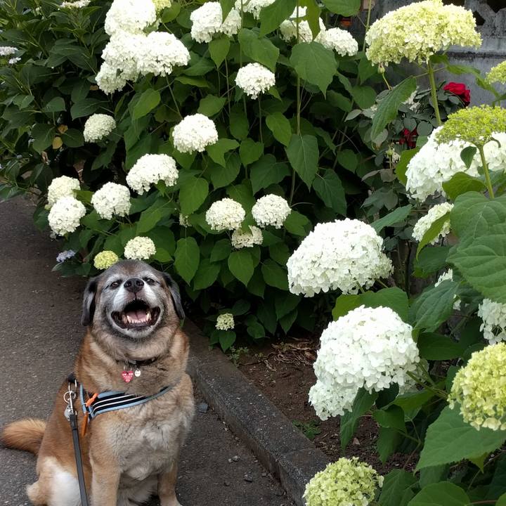 05fe563b e4d0 48df 98dd 1e88d93d2f94 1687309391186