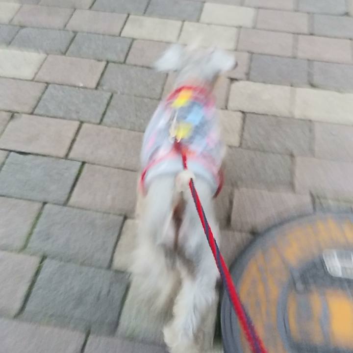 05fe5f54 c4c4 4473 a8a7 774145c456fc 1584050824864