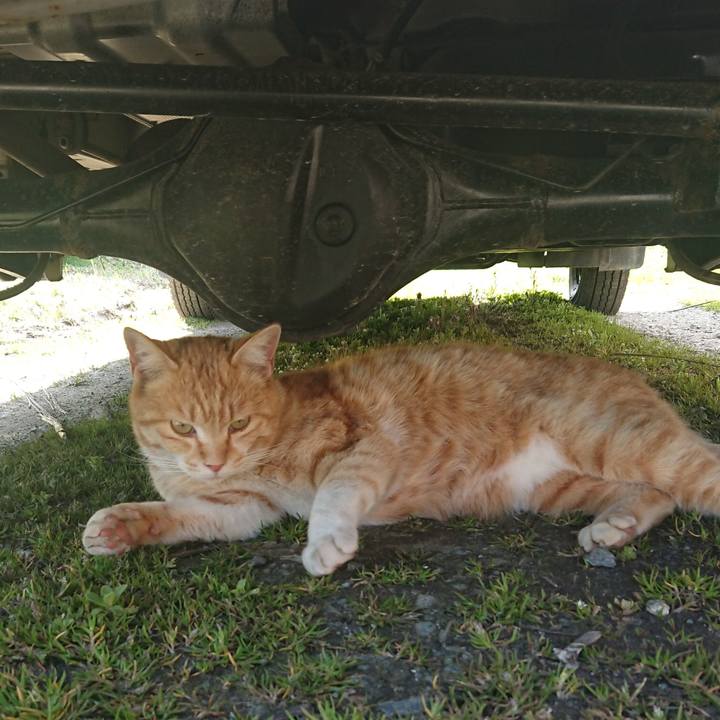 05fea82d 3fdf 4c14 8be9 4059d0ffc1e9 1585976417284