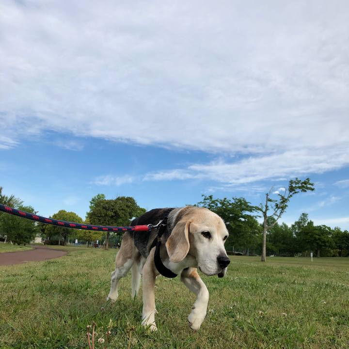 05fec151 5e84 411f 9b48 1ca2c0cadc06 1621514616535