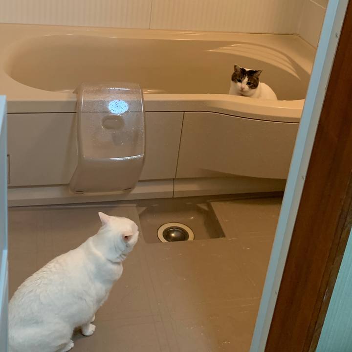 05feeb76 d27c 4b53 9fc9 72487ec10d0b 1642431630722