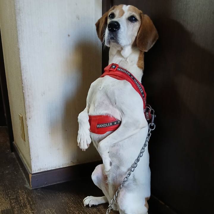 05feeebb 6f0c 4a1d b2d1 4f64c886ada3 1764415351641