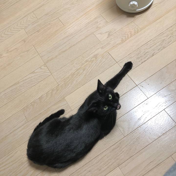 05fef20f dd7d 436c bc3b 58bdda3e8f58 1607695986760