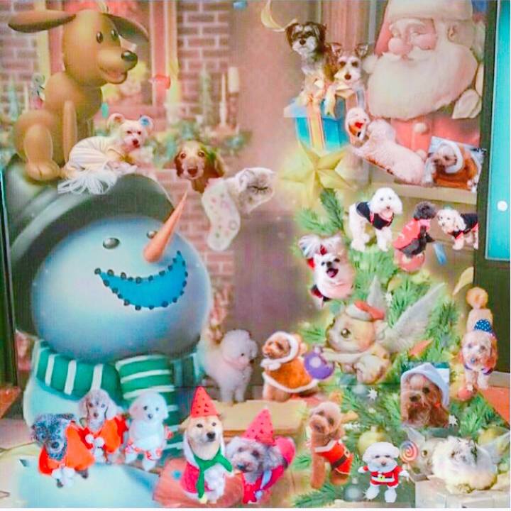 05fef249 a8cb 4ee2 ab97 f19111061ce0 1512789998973