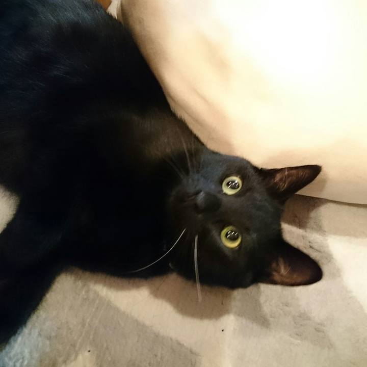 05ff1b69 76fe 4df2 bfec 0aec5a6f5bbd 1515905269112