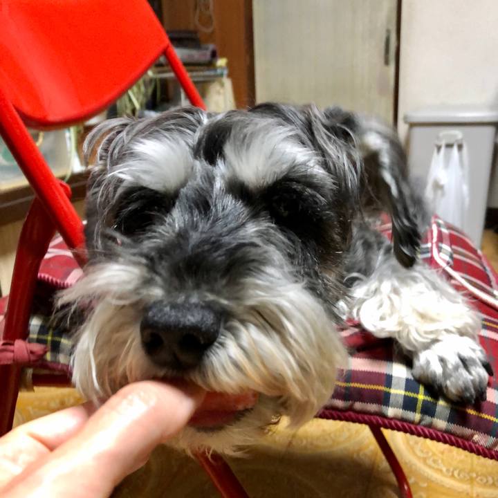 05ff2d08 32e7 4450 84b9 bffb026e3d7f 1653574110864