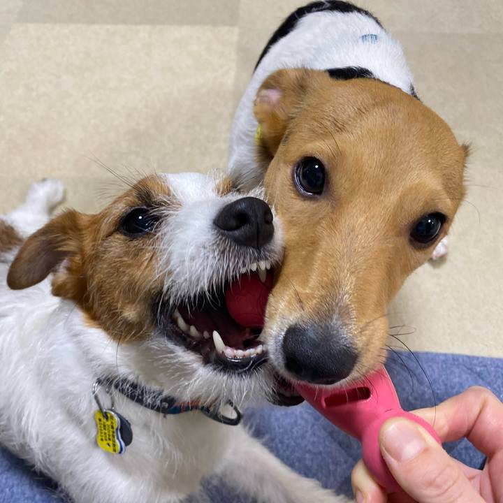 05ff3876 d0cb 43e5 8f97 f27b8a7a0674 1758029980139