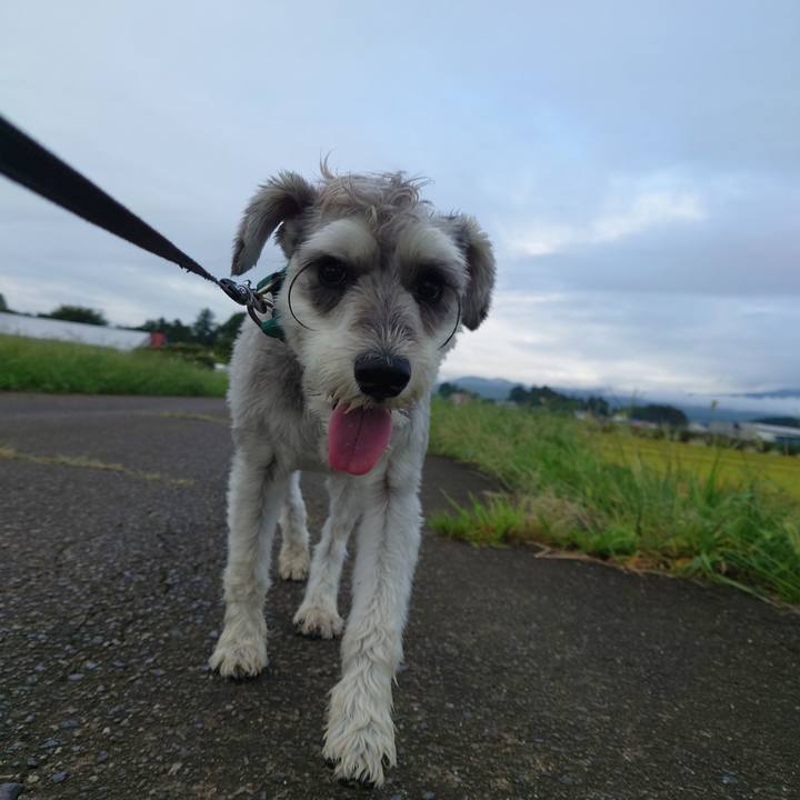 05ff4654 3654 4eea 9c8b ead880369e7e 1757891172307