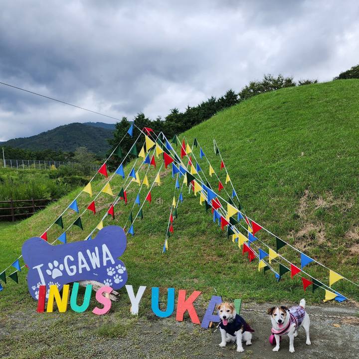 05ff6952 8fcb 4b23 ac5d c9b1643c905a 1758496338059