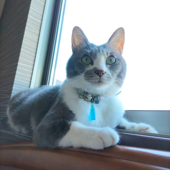 05ff7743 7611 46aa 9123 71d41ec67e96 1691820683651