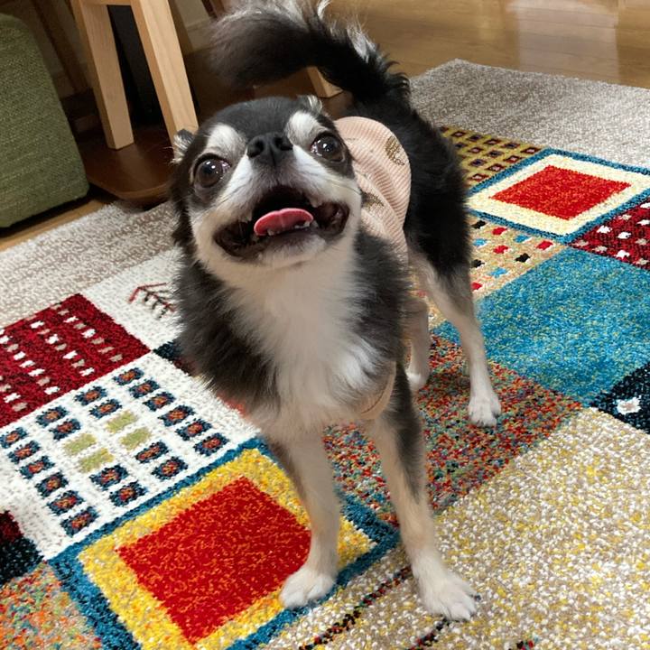 05ff7a33 96f3 464e 8cdc 0f68ce2433e1 1683474441729