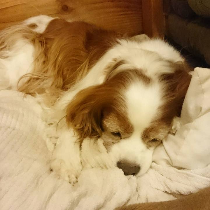 05ff9ca6 f8a1 4b1b 900a f7ab3c8c9f11 1563793374451