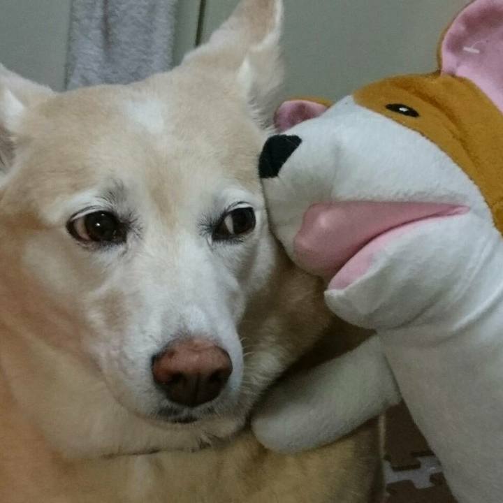 05ffb141 9171 4de6 a00c 6f99259d0f5f 1517572368491