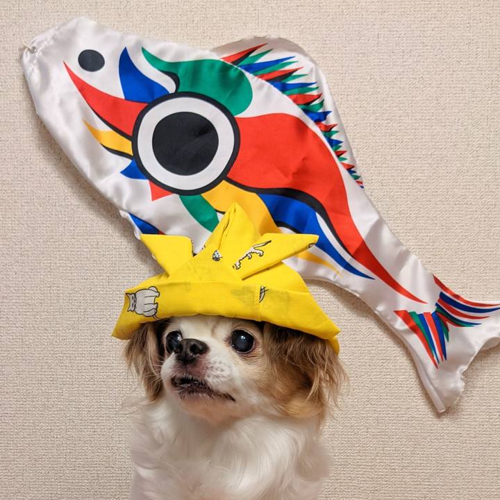 05ffef3f aac1 40d0 9556 141941cb0606 1620197377013