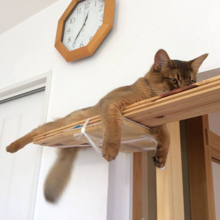 060029c1 2248 4157 a048 ab0886c9ecc0 1589168623196