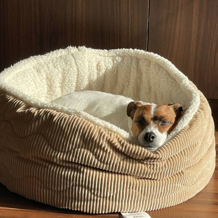 060055a6 e77f 4bc0 8f73 3cbd89579bbd 1648162135543