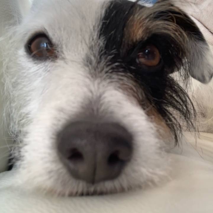 06005be3 093f 4cd3 8d13 5921208453af 1616823592255