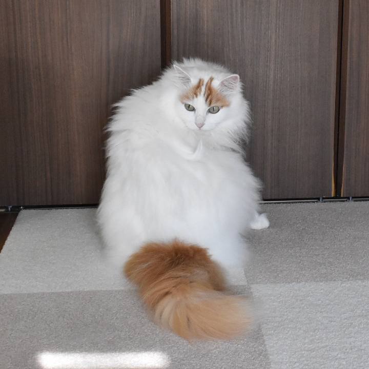 0600680c 1b3b 45de 952f 7986d2ff546b 1764214579575