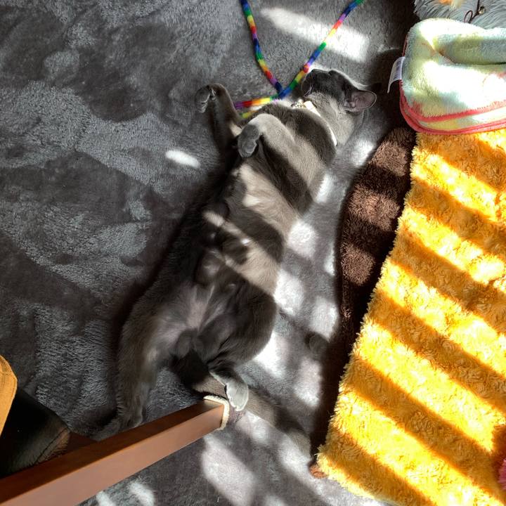 060077b0 6db8 46b3 83a4 a339dacef933 1647772615488