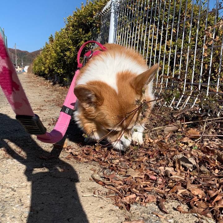 06008192 2212 45ae 8ec2 ff40be8fa41f 1702093961467