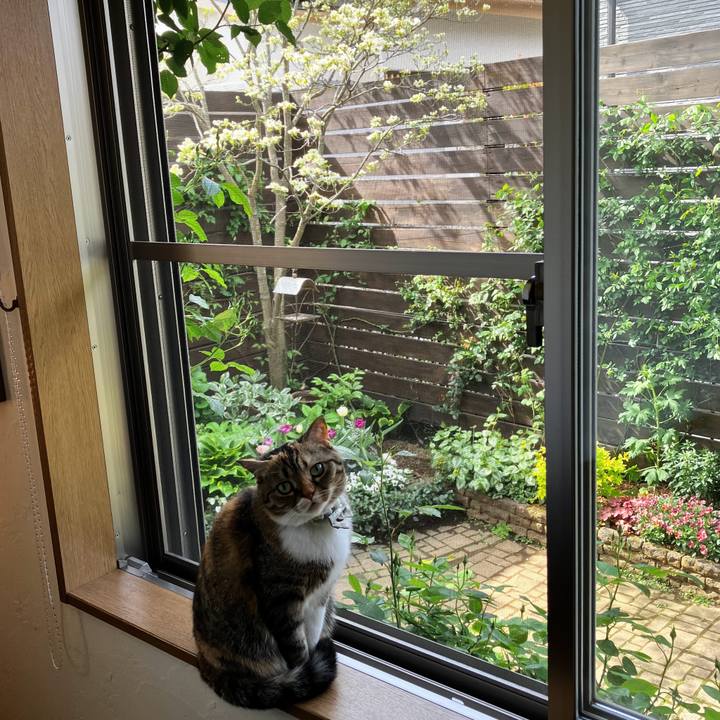 0600a149 b883 4de4 96c4 a1924a88f022 1775952755461