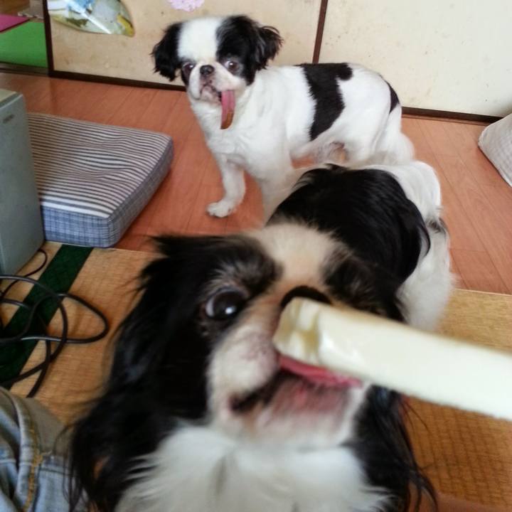 0600a8a7 7eb4 4e8d 99f8 c503017672ea 1692072428261