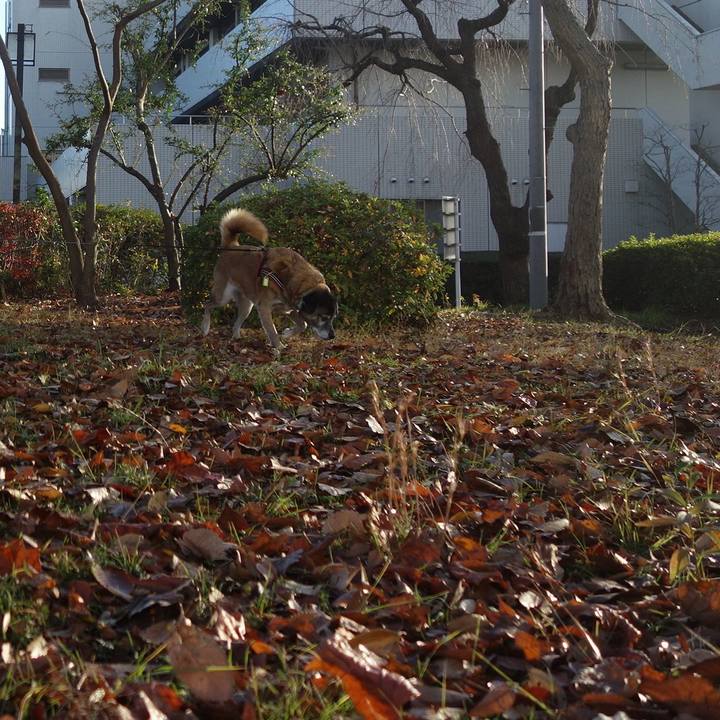 0600b834 d76f 48b4 afbf f4a9f2f7f052 1544489111501