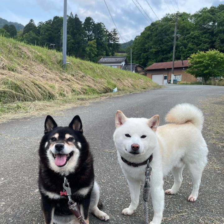 0600d1b8 a290 4b57 8bc5 e7f256343646 1717461253275