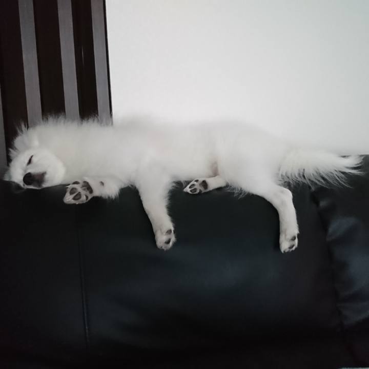 0600d573 1f5b 4ce2 8ab8 74082907f19e 1554280462405