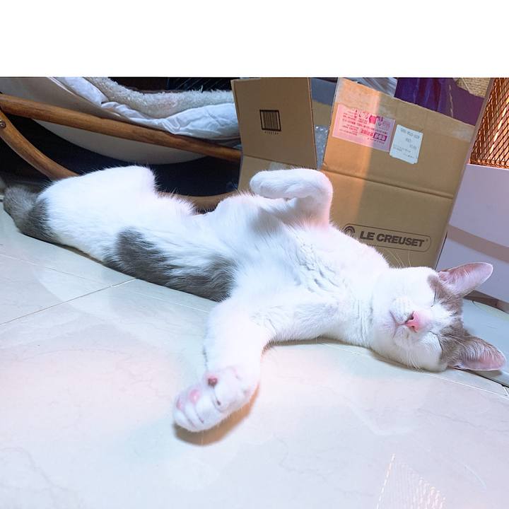 0600dc76 cd1a 422c 83df 6bd72e991978 1573716272274