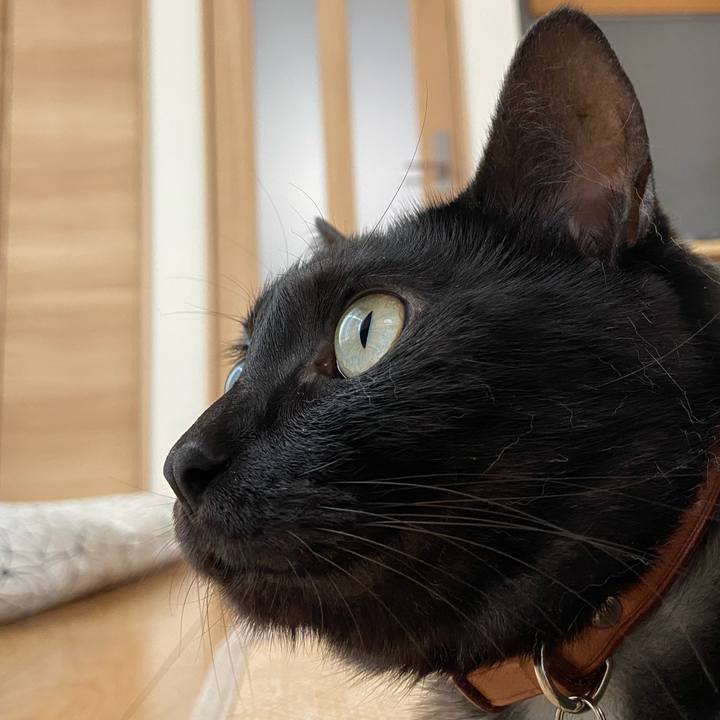 0600f008 0008 4d2d 8813 7fcd167863ce 1597622765532