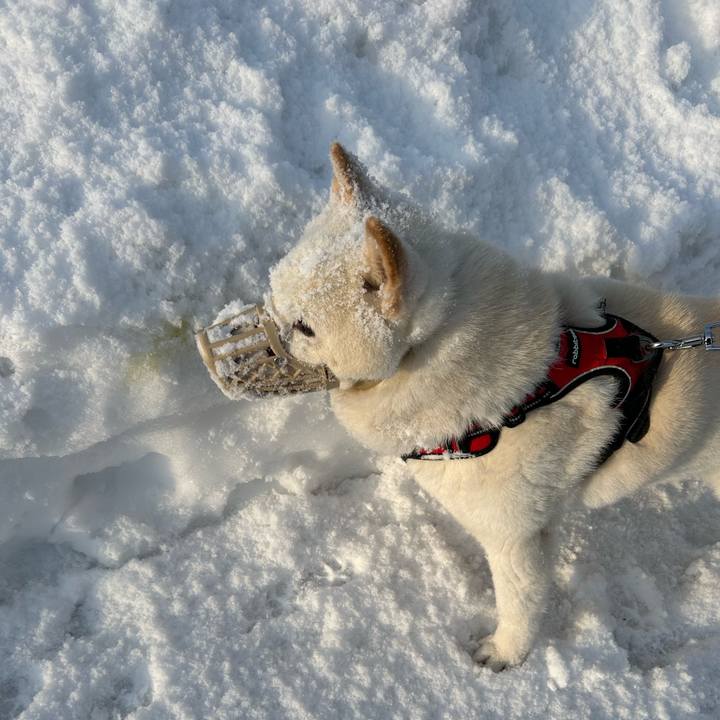 06012462 a894 4b3f a06e e61791cf87e6 1710455758667