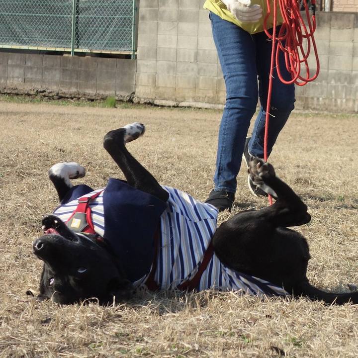 060141d5 d4ad 49b4 ade3 f3253cd1ba3e 1678236942677