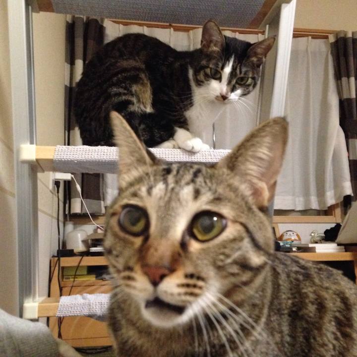 0601dd0f e953 4c5c 96ed 3ae97cdfed1d 1512901723471