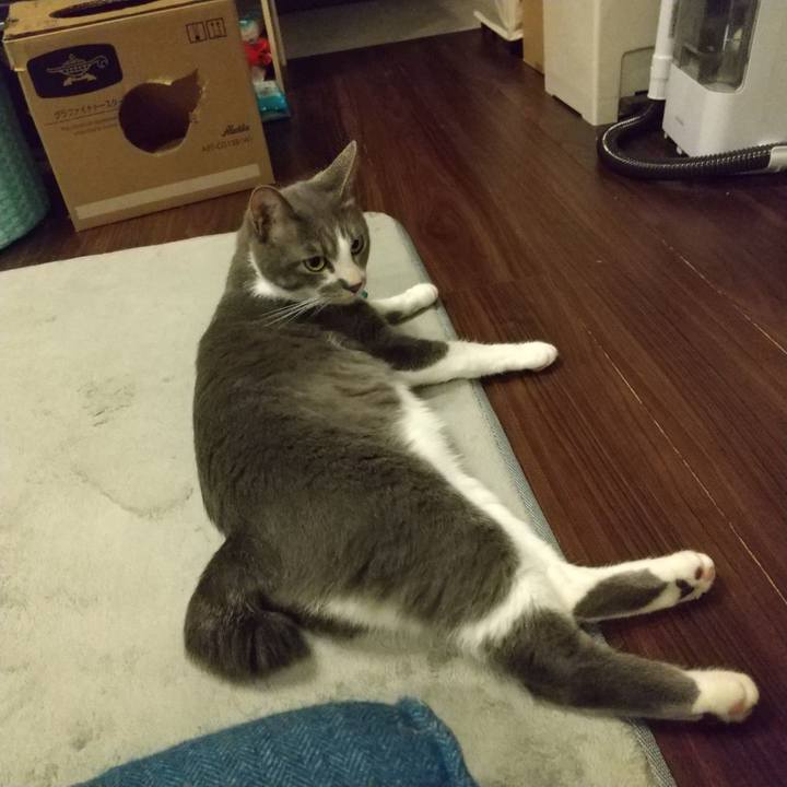 0601fc71 fc95 4eb1 a080 50d45956ba83 1620994264595