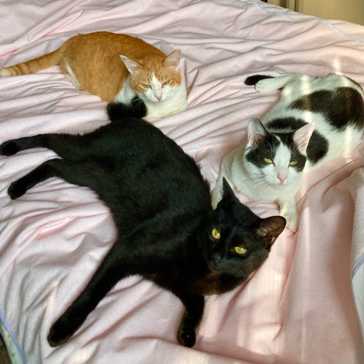 06023a6b 60cb 4fd1 9a46 8ac2dda954d9 1659166715759