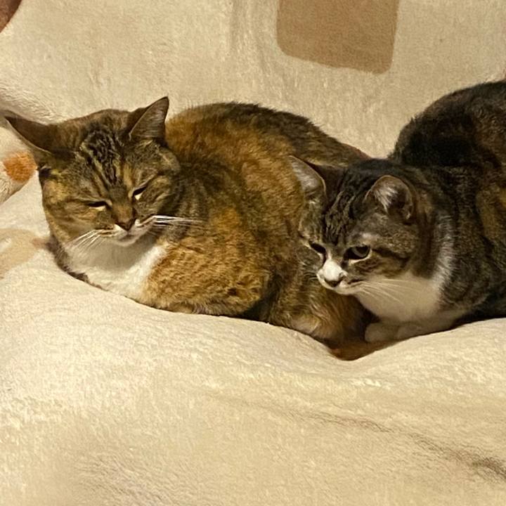 060250f2 5913 491d 9536 c370e31d2520 1678135019647