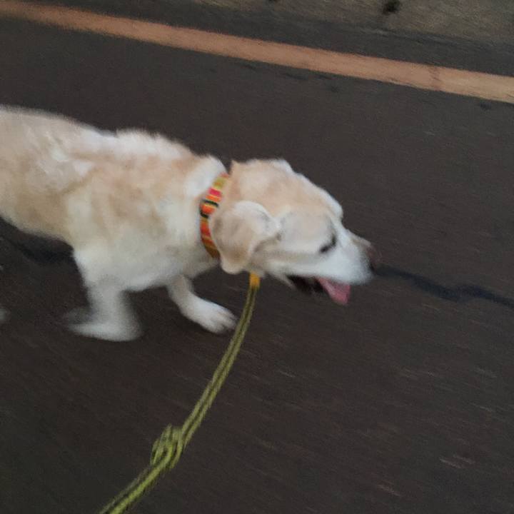 06025943 2c2a 4899 90c1 6dfe7a8185db 1531910684555