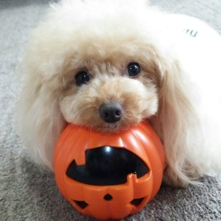 06028832 147f 4781 a815 4bf0f3699942 1537011358414