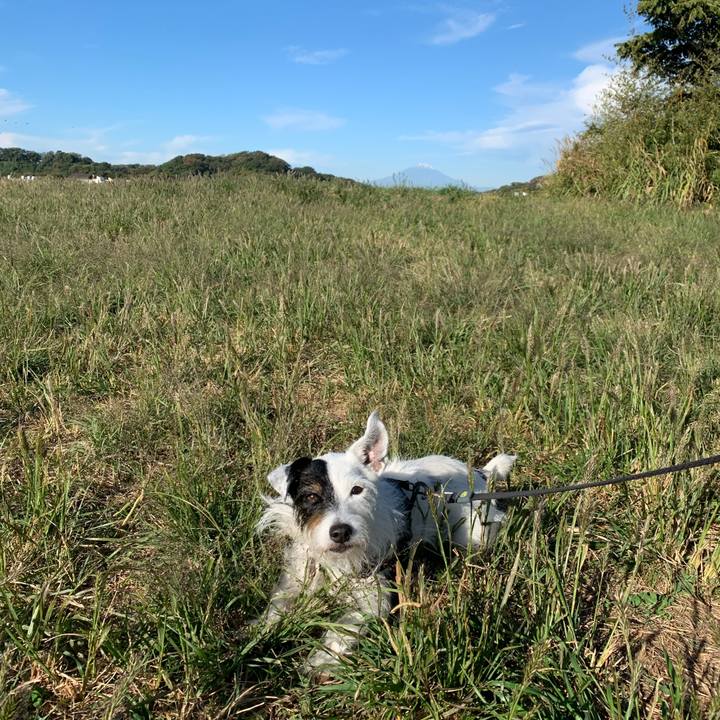 0602ceff 7558 491c 97b8 6fa313d3ad49 1698019364186