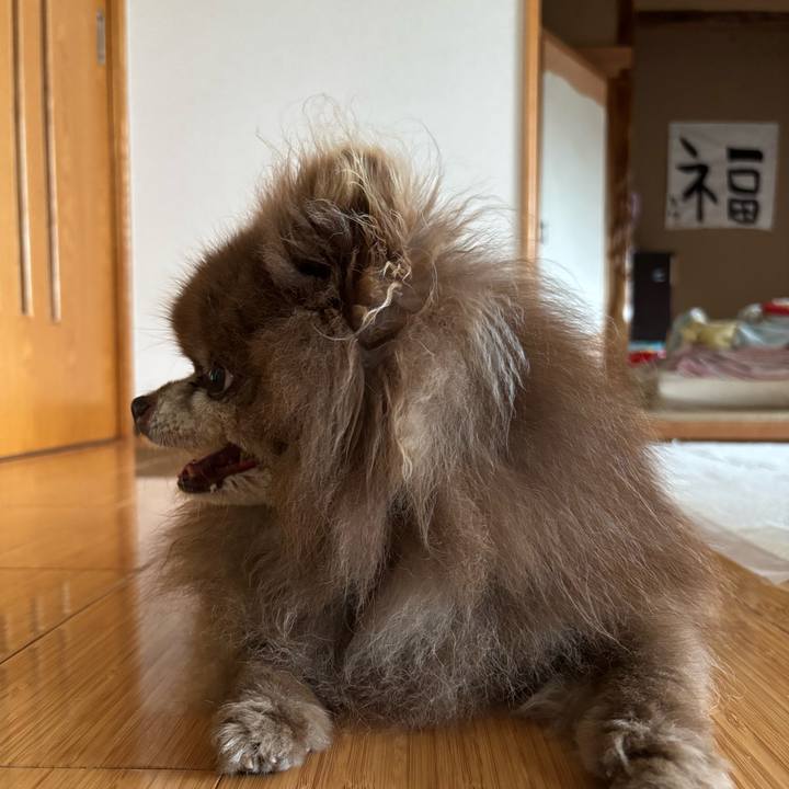 0602e0bb 6f09 49c2 b1dd 783c4a3de822 1751574023681