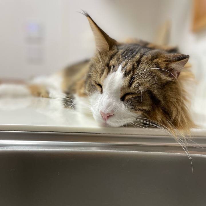 0602ec7a 3fe0 4a38 b22e 2610c4baef14 1667131824426