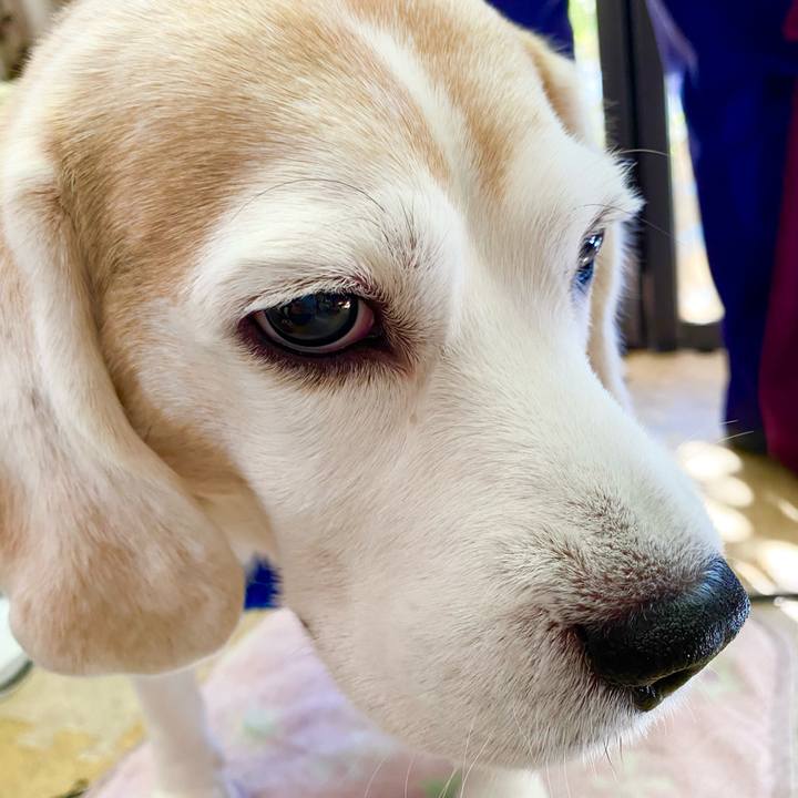 0602f1ab a87d 4f4d 8c12 d39a21609f27 1611988163988